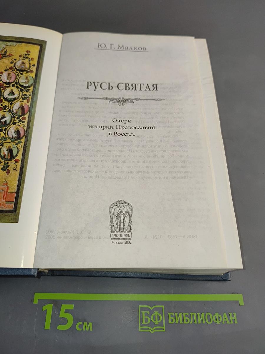 Русь Святая. Очерк истории Православия в России