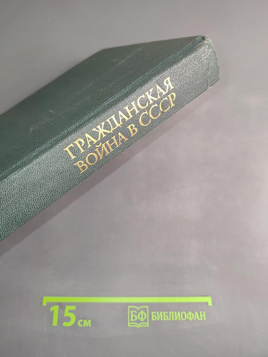 Гражданская война в СССР. Том второй