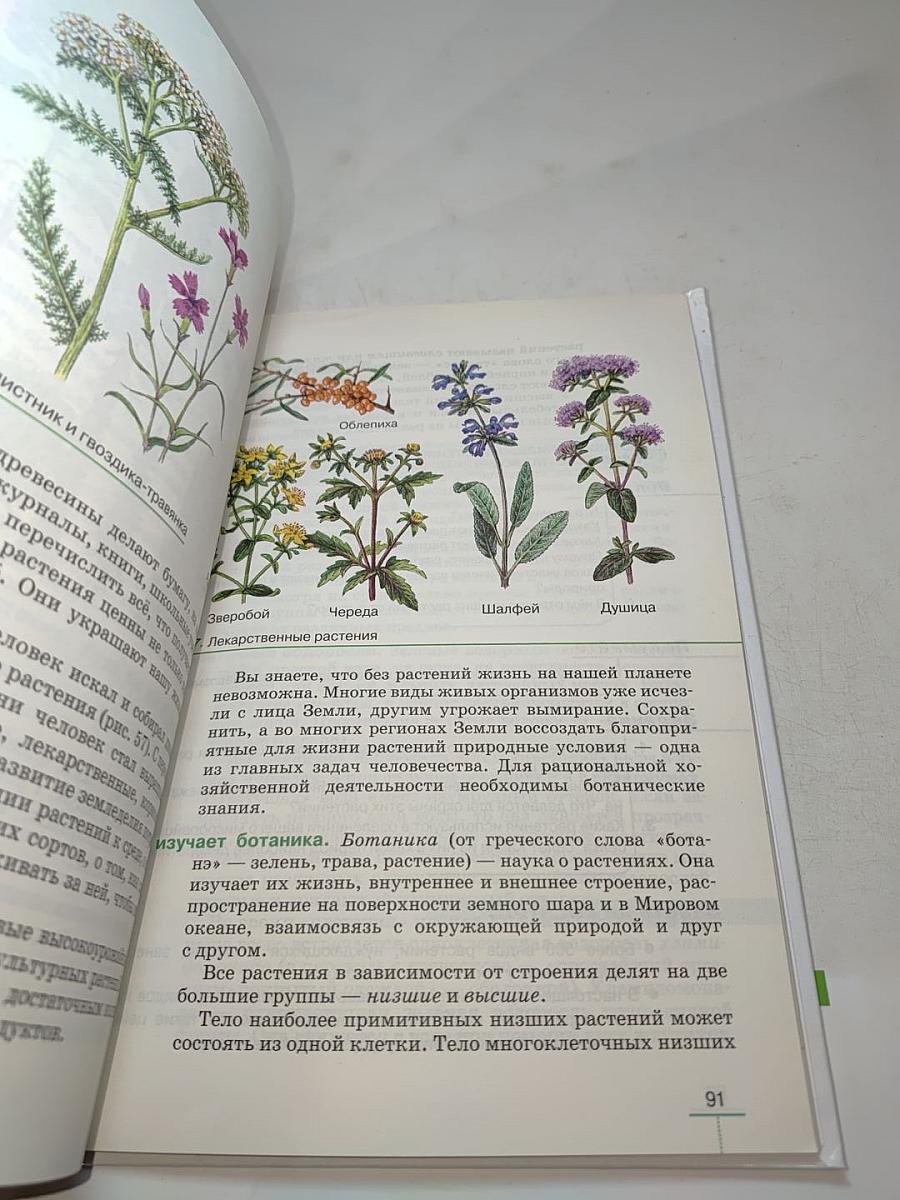 Биология. Бактерии, грибы, растения. 5 класс