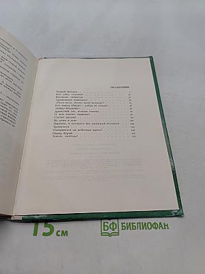 Родимый край - зеленая моя колыбель