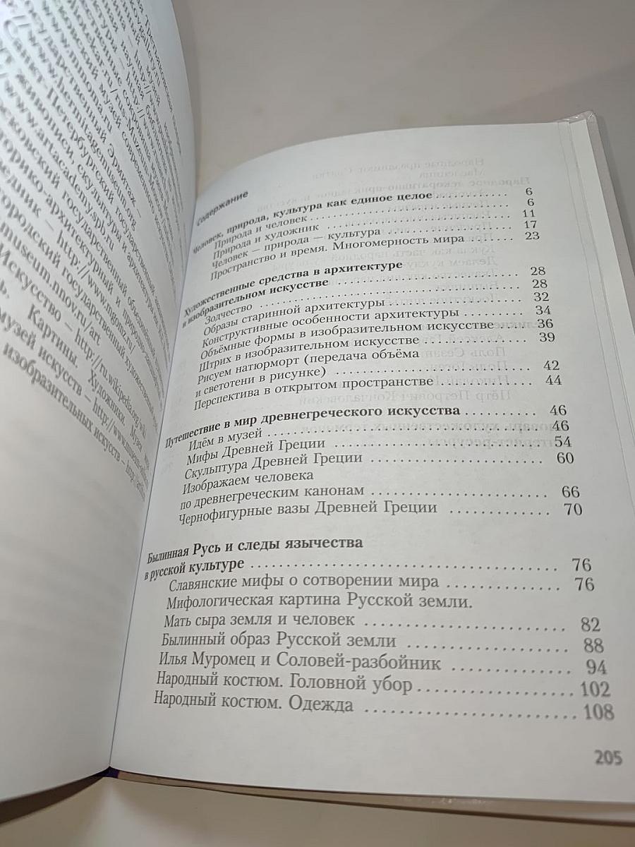 Изобразительное искусство, 5 класс