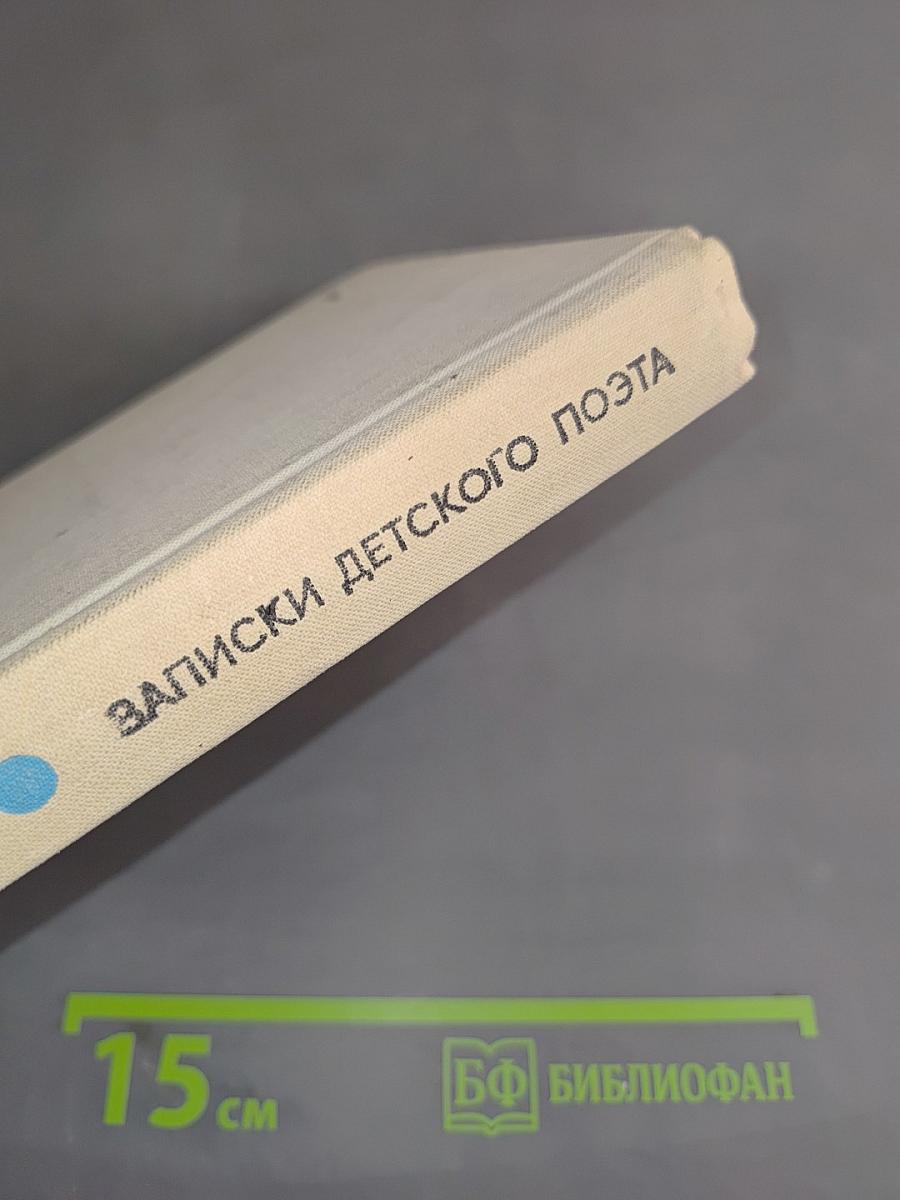 Записки детского поэта