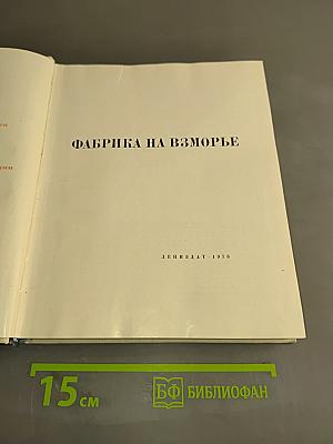 Фабрика на взморье