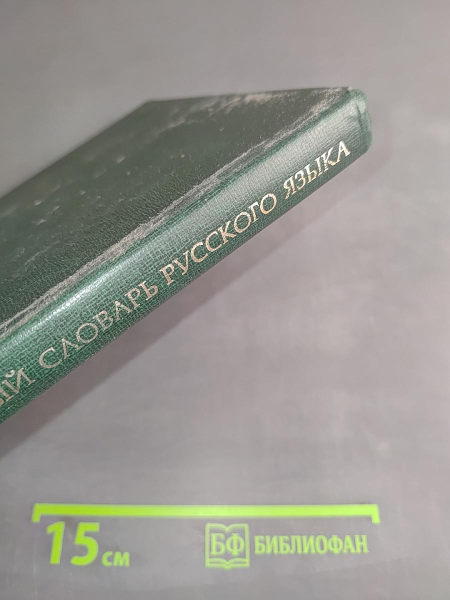 Краткий толковый словарь русского языка для иностранцев