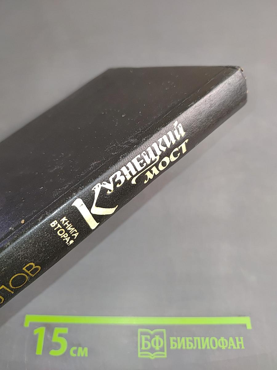 Кузнецкий мост. Книга 2