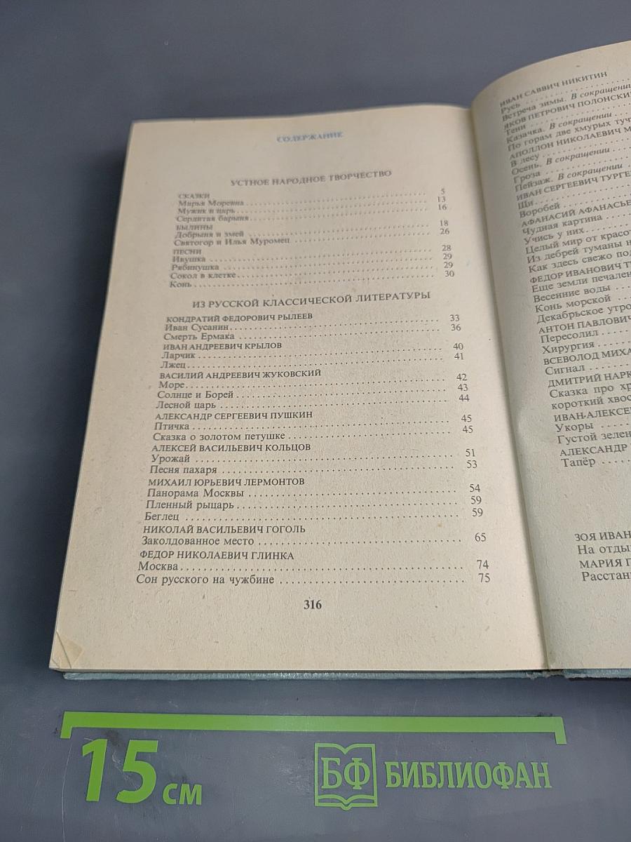 В мире русской литературы. Книга для внеклассного чтения. 5 класс