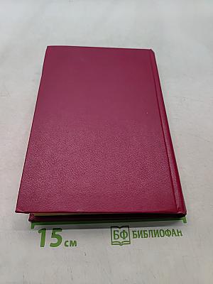 Королева Шотландии в плену