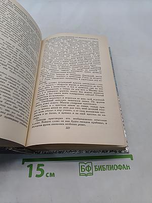 За чьи грехи? Великий раскол