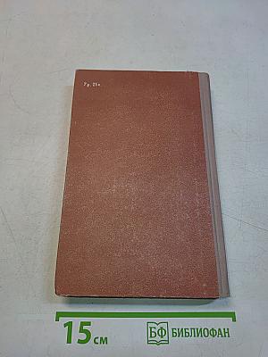Московские зори. Книга вторая. Дороги славы
