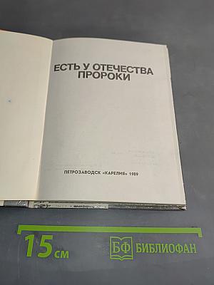 Есть у Отечества пороки