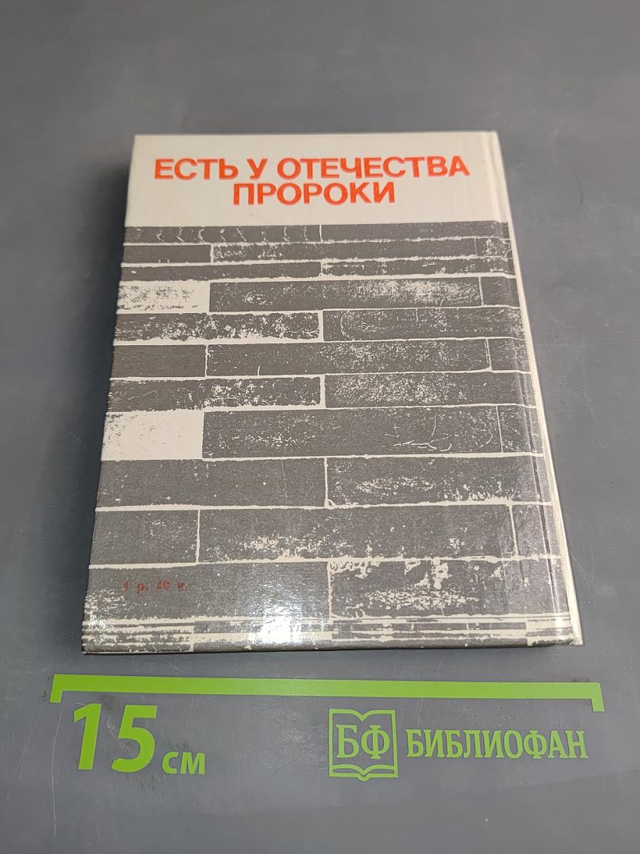 Есть у Отечества пороки