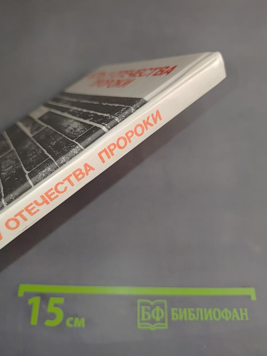 Есть у Отечества пороки