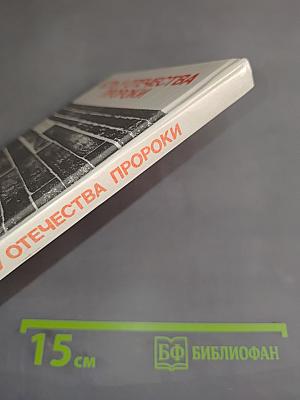 Есть у Отечества пороки