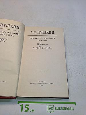 Собрание сочинений в 10-ти томах. Том шестой. Критика и публицистика