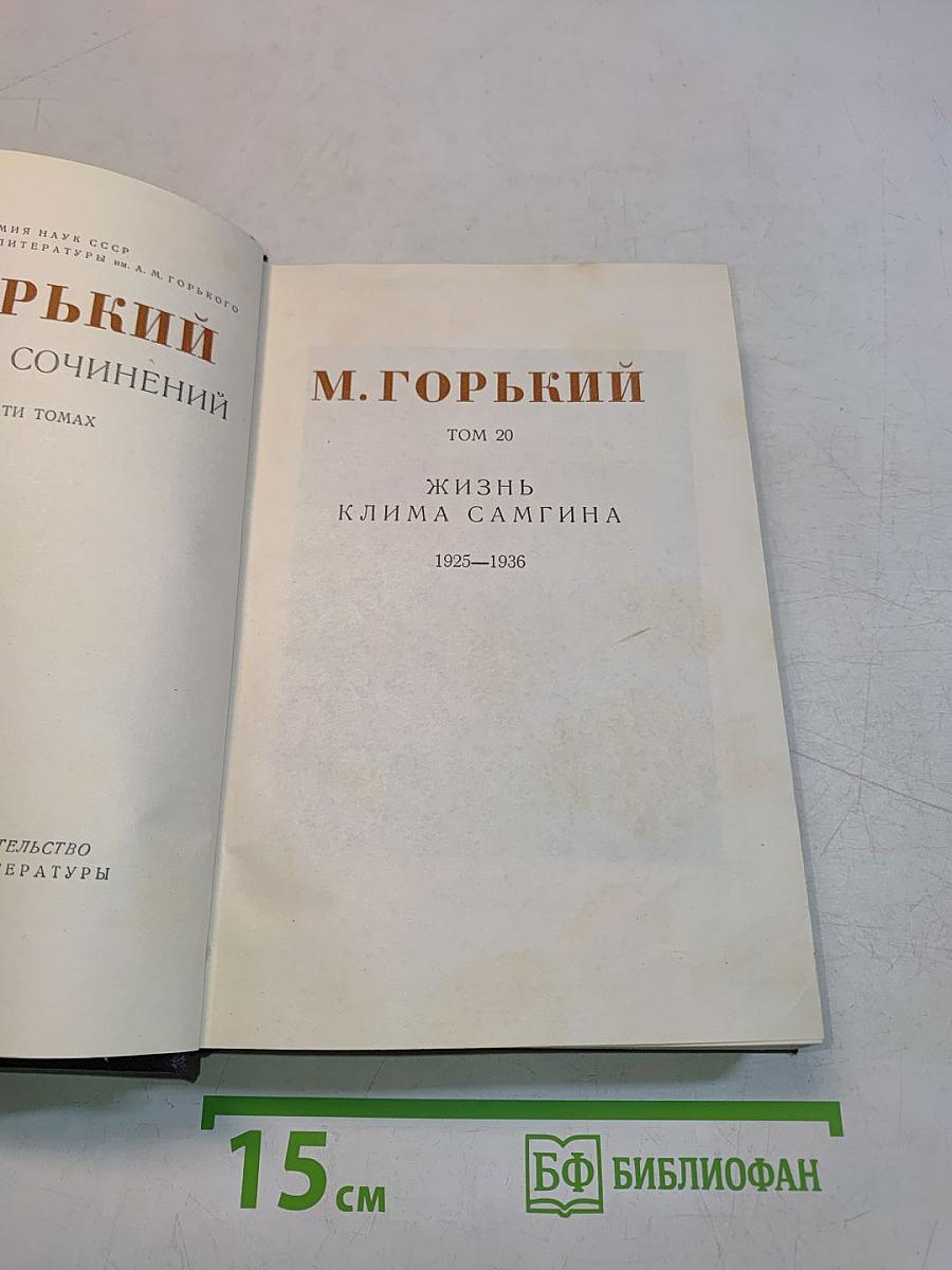 Жизнь Клима Самгина. Том 20