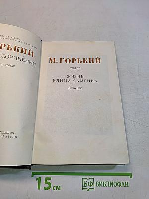 Жизнь Клима Самгина. Том 20