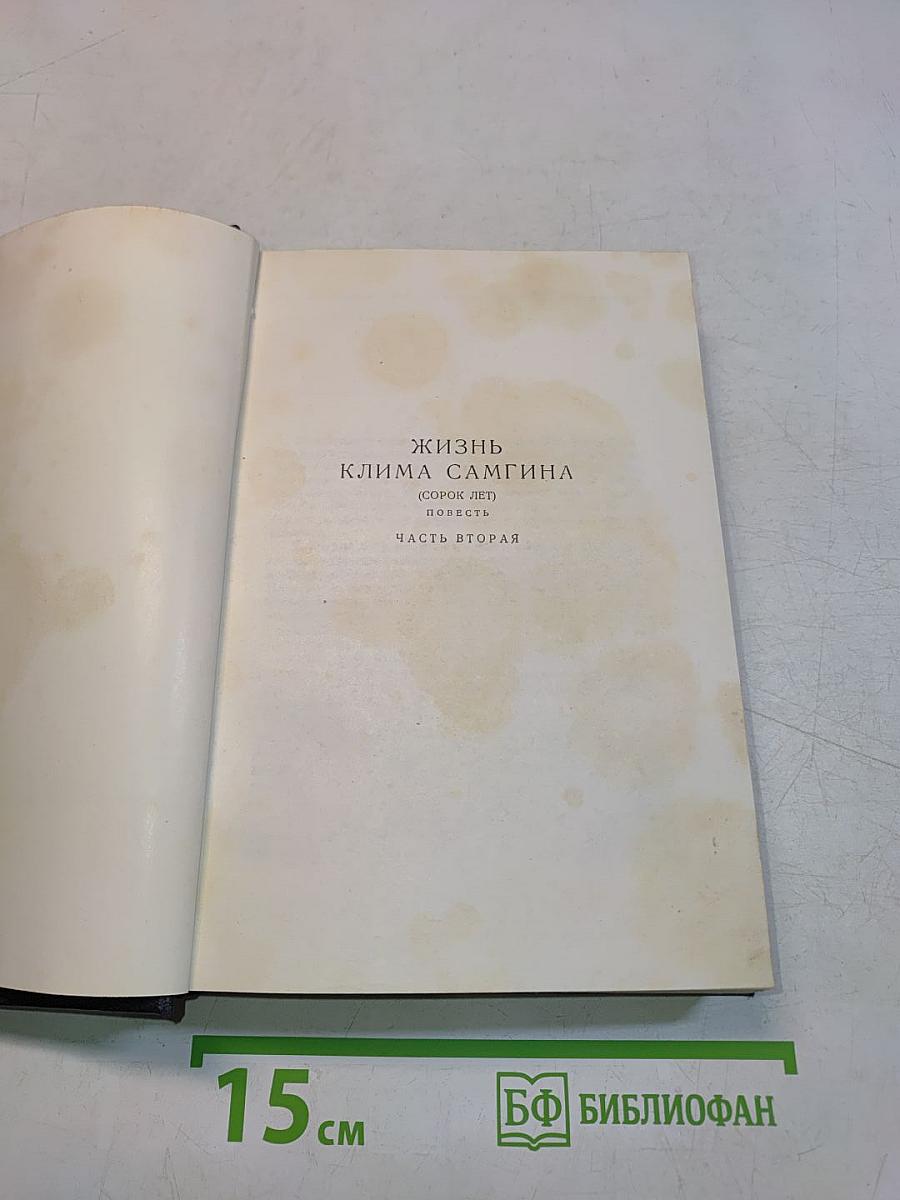 Жизнь Клима Самгина. Том 20