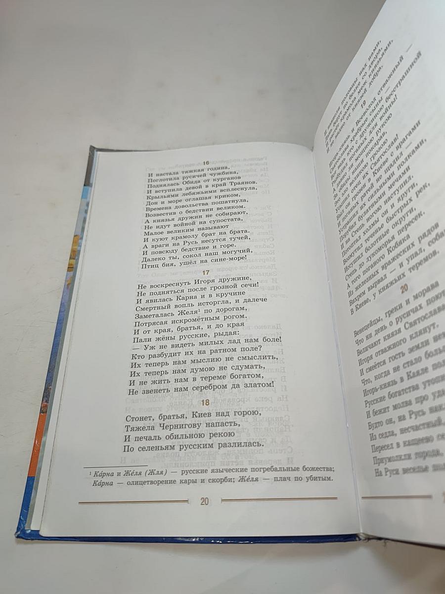 Литература 9 класс учебник Часть 1