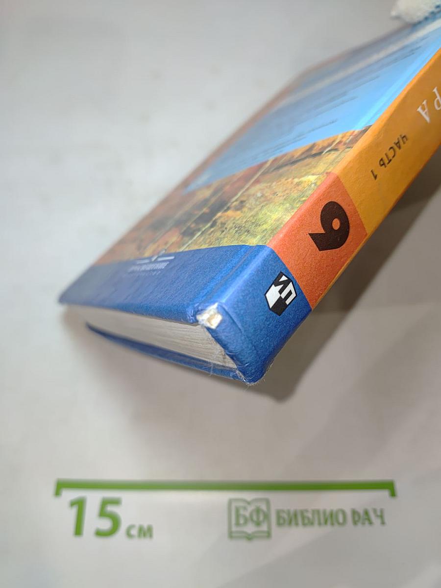 Литература 9 класс учебник Часть 1