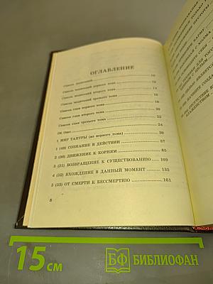 Вигьяна Бхайрава Тантра. Книга тайн. Том 4