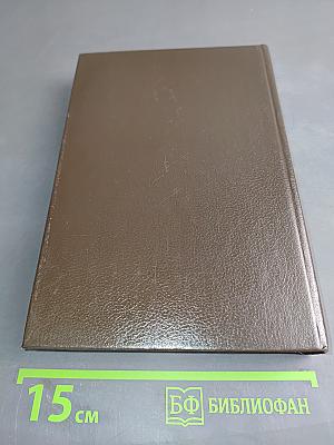 Вигьяна Бхайрава Тантра. Книга тайн. Том 4