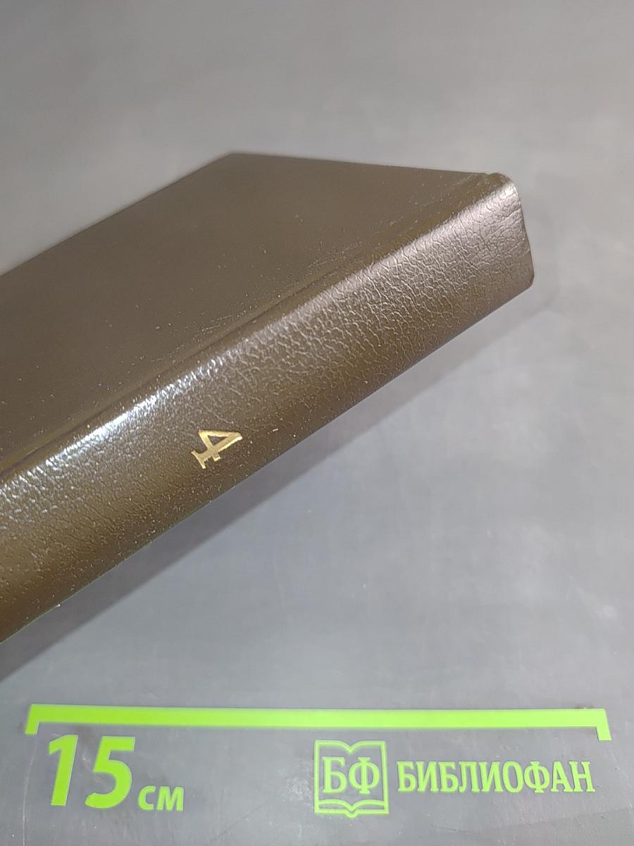 Вигьяна Бхайрава Тантра. Книга тайн. Том 4