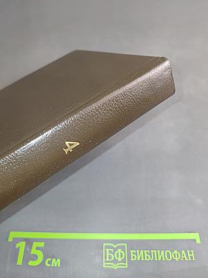 Вигьяна Бхайрава Тантра. Книга тайн. Том 4