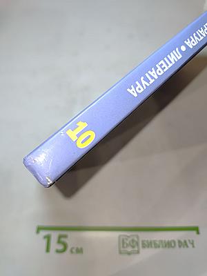 Русский язык и литература. Литература. 10 класс, базовый уровень, часть 1