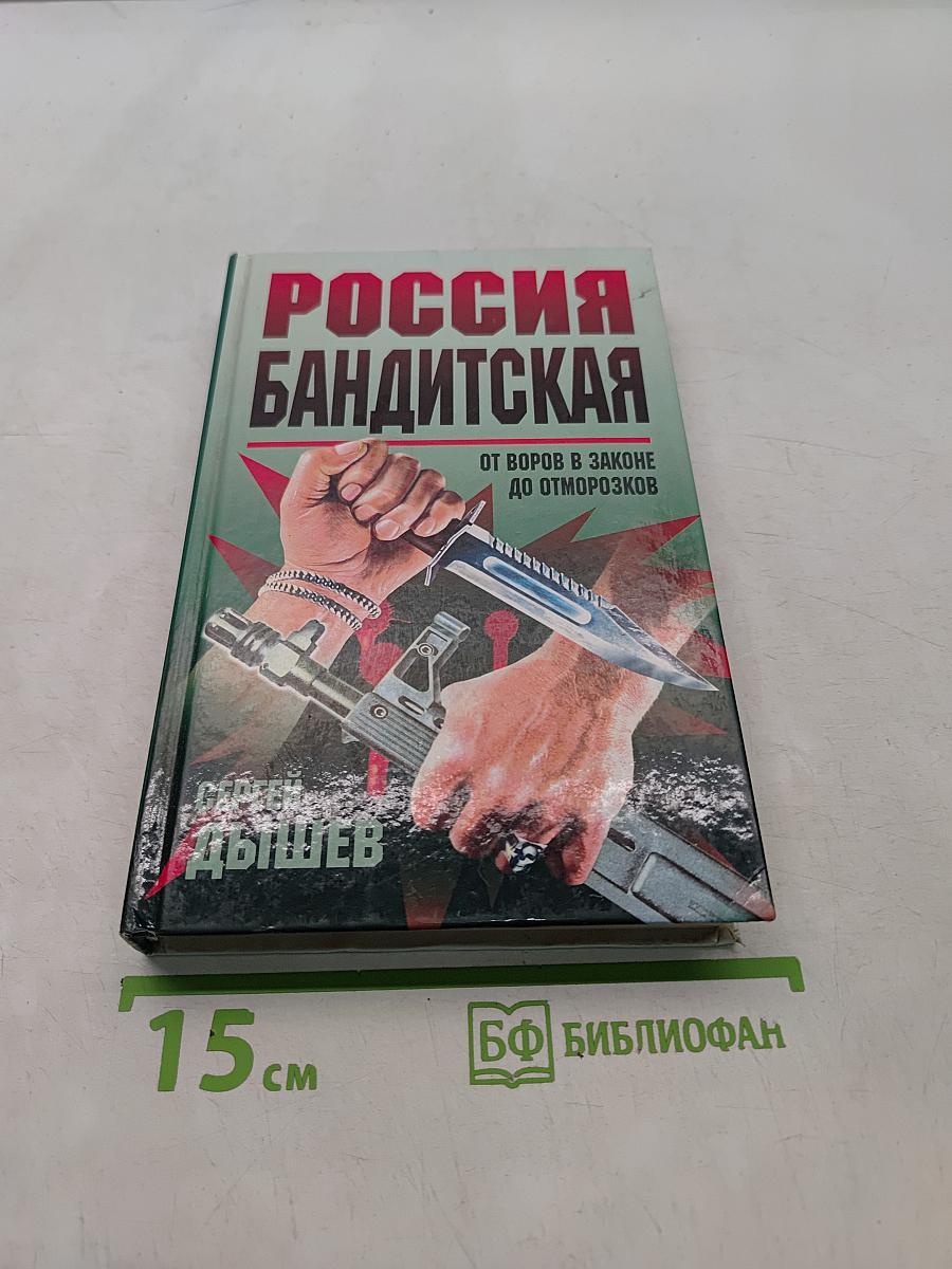 Россия бандитская. От воров в законе до отморозков