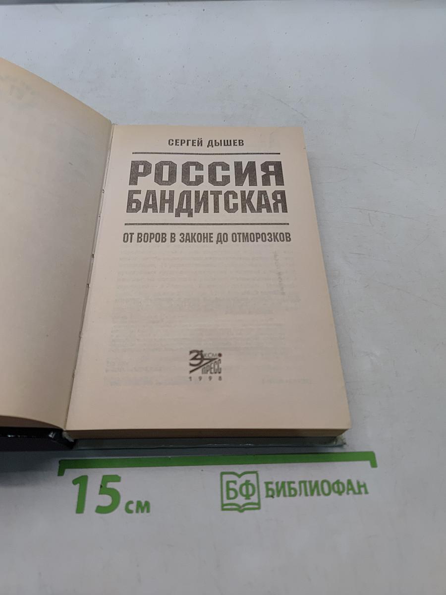 Россия бандитская. От воров в законе до отморозков