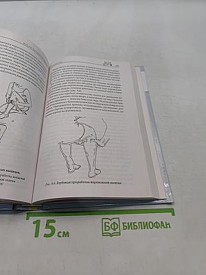 Массаж. Большой справочник