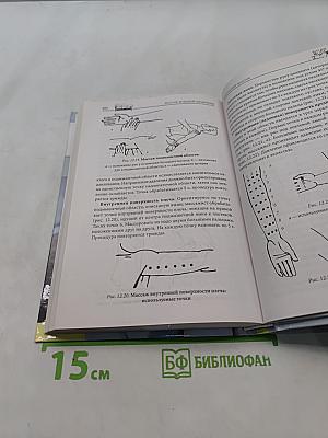 Массаж. Большой справочник
