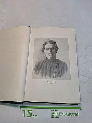 Собрание сочинений в тридцати томах. Том 4. Повести, очерки, рассказы 1899-1900