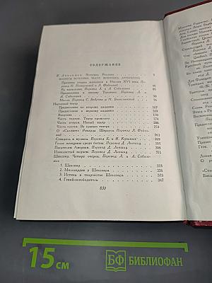 Собрание сочинений. Том четырнадцатый. Вопросы эстетики, театра, живопись, литература