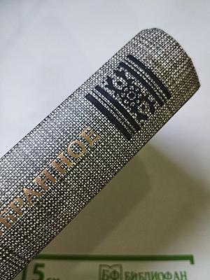 Избранное: Новеллы, Хроника царствования Карла IX