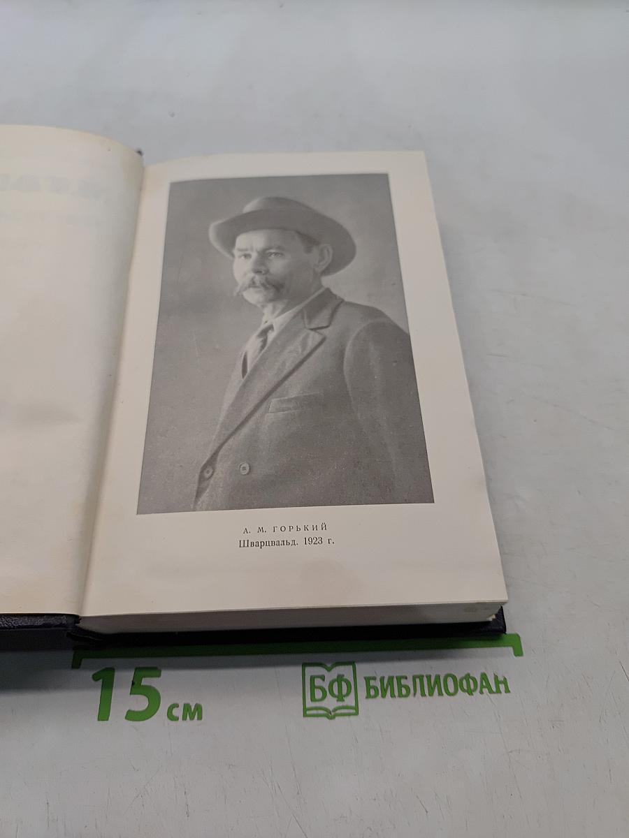 Собрание сочинений. Том 24. Статьи, речи, приветствия 1907-1928