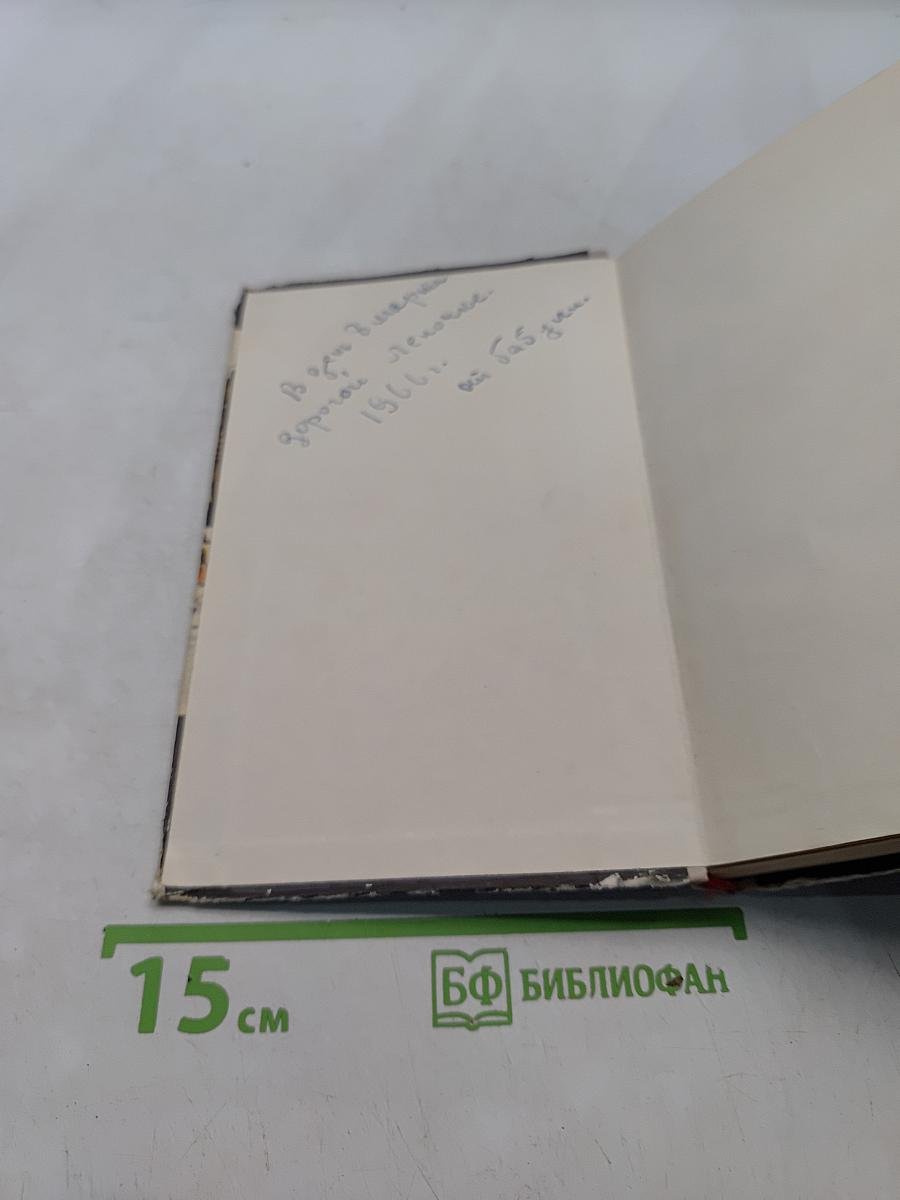 Серебряные коньки