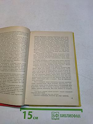 Звезды мудрого Бируни