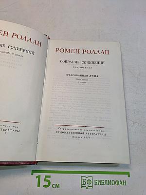 Собрание сочинений. Том 8. Очарованная душа