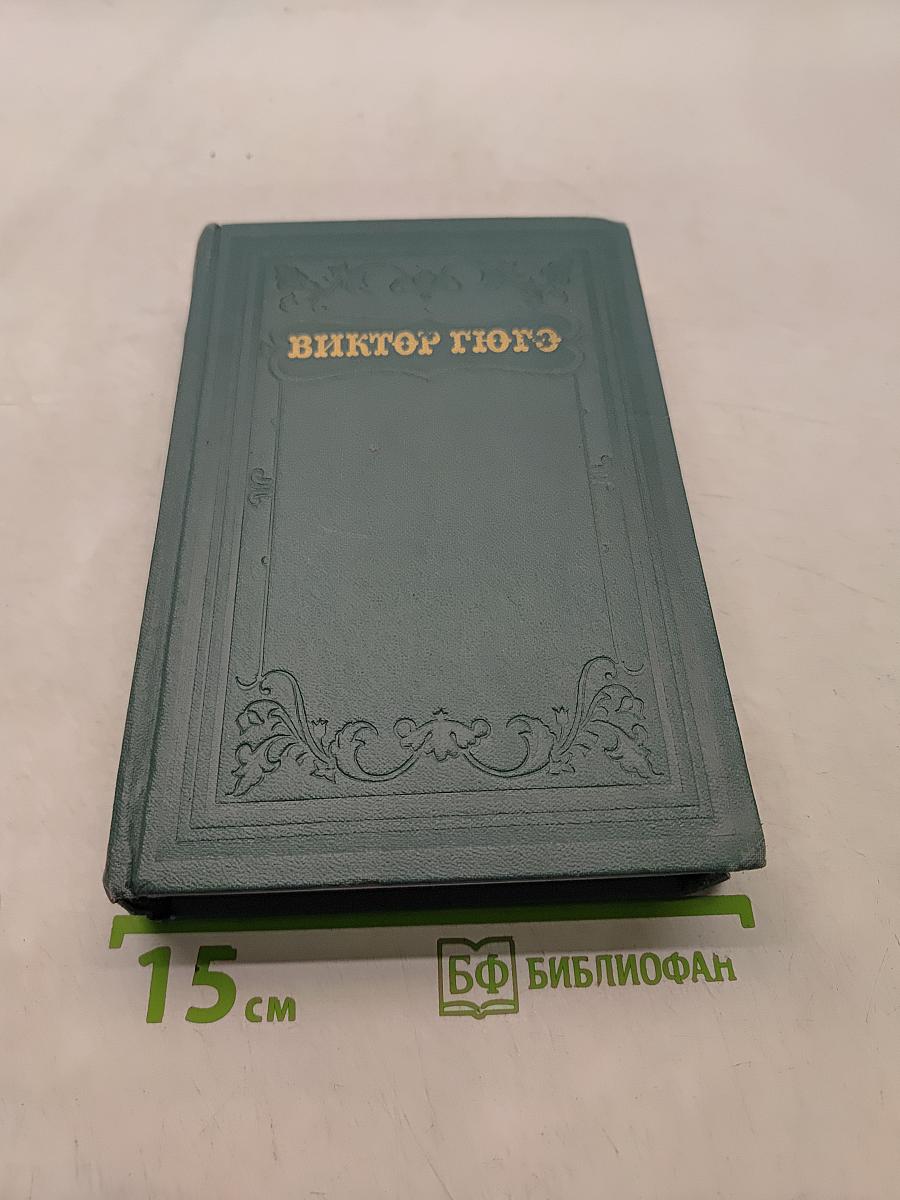 Собор Парижской Богоматери. Том второй