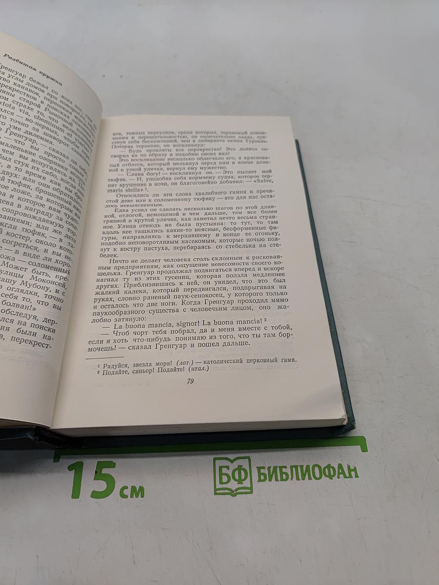 Собор Парижской Богоматери. Том второй