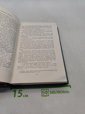 Собор Парижской Богоматери. Том второй