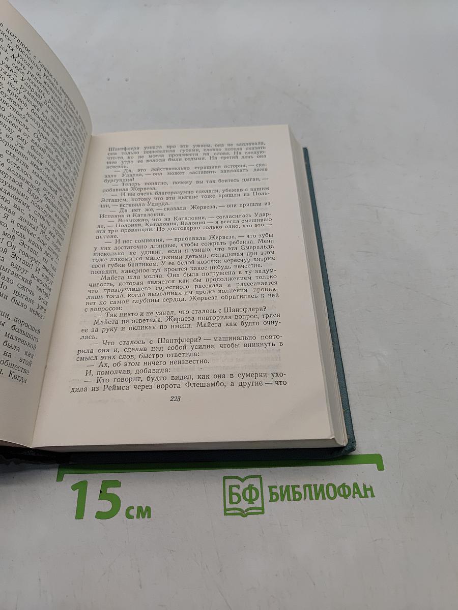 Собор Парижской Богоматери. Том второй