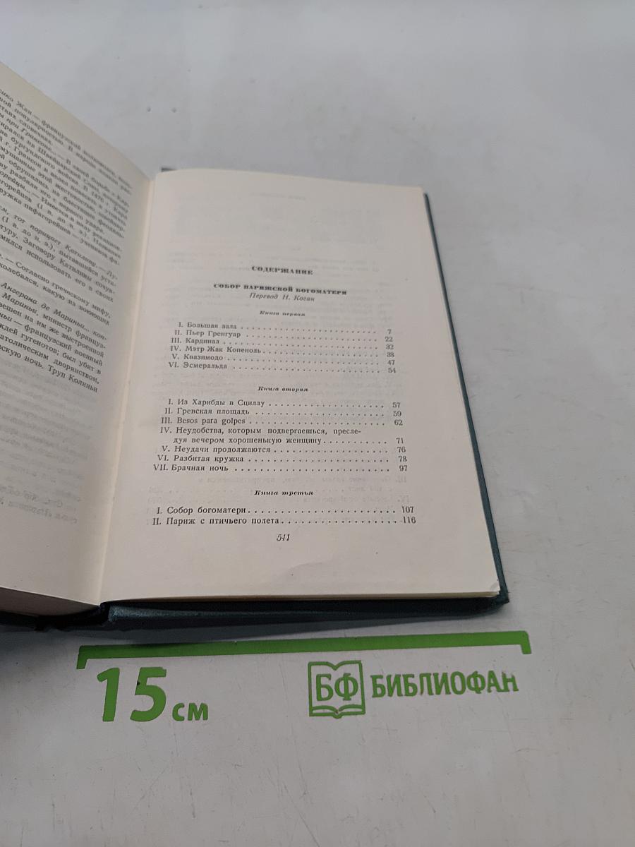 Собор Парижской Богоматери. Том второй