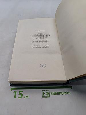 Собор Парижской Богоматери. Том второй