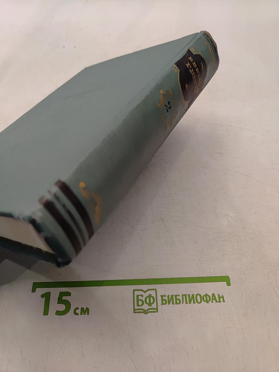 Собор Парижской Богоматери. Том второй