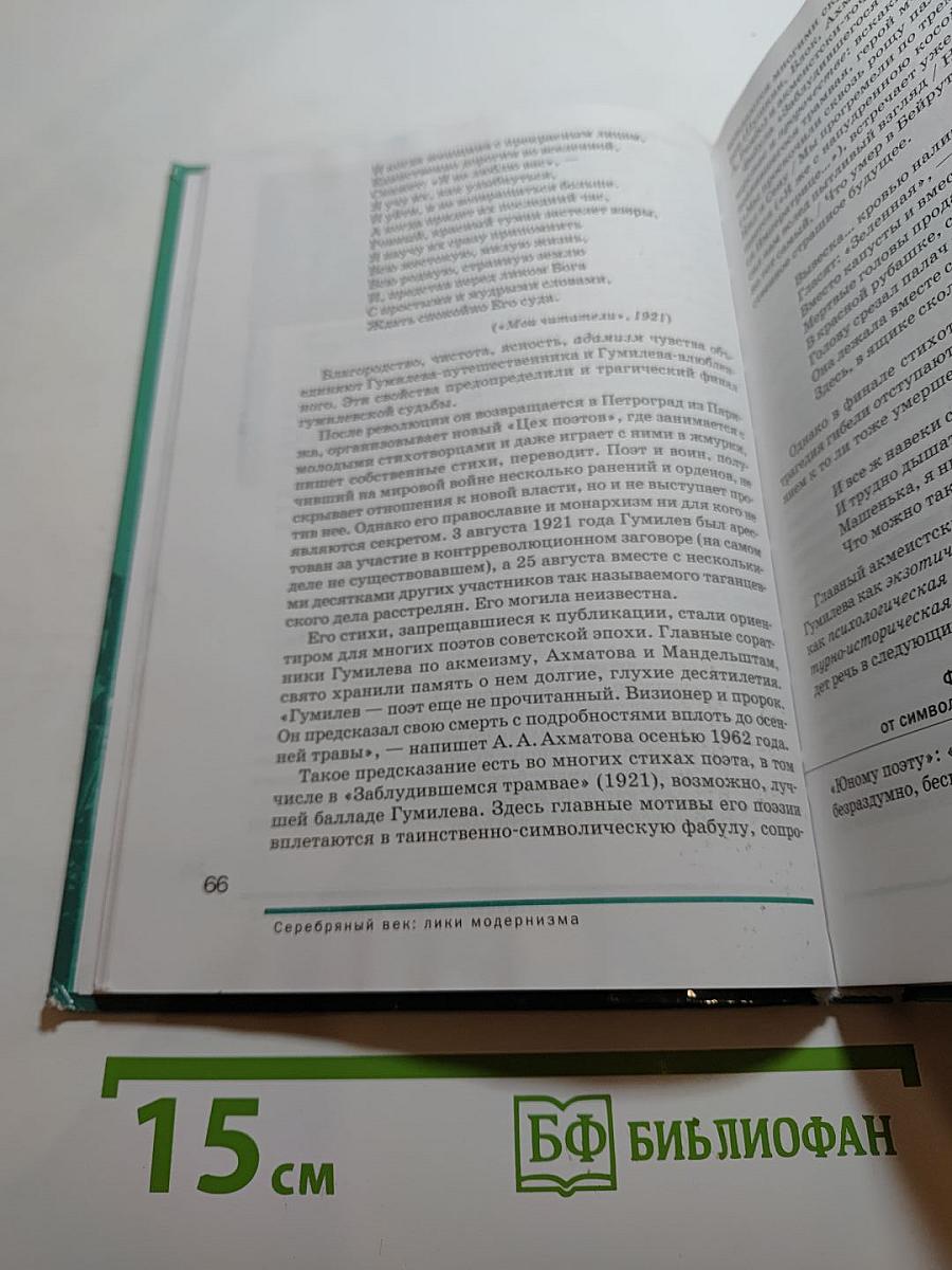 Русский язык и литература. Литература. 11 класс, базовый уровень, часть 1
