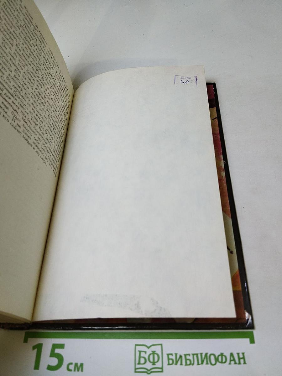 Все красотки по ранжиру