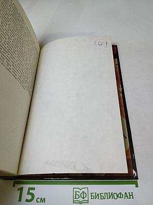 Все красотки по ранжиру