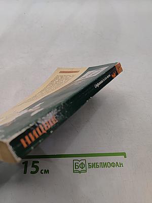 Странник и его тень